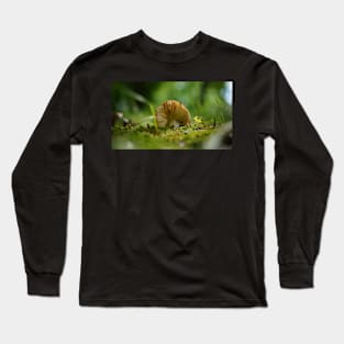 Mushroom Belly in the Green Moss Long Sleeve T-Shirt